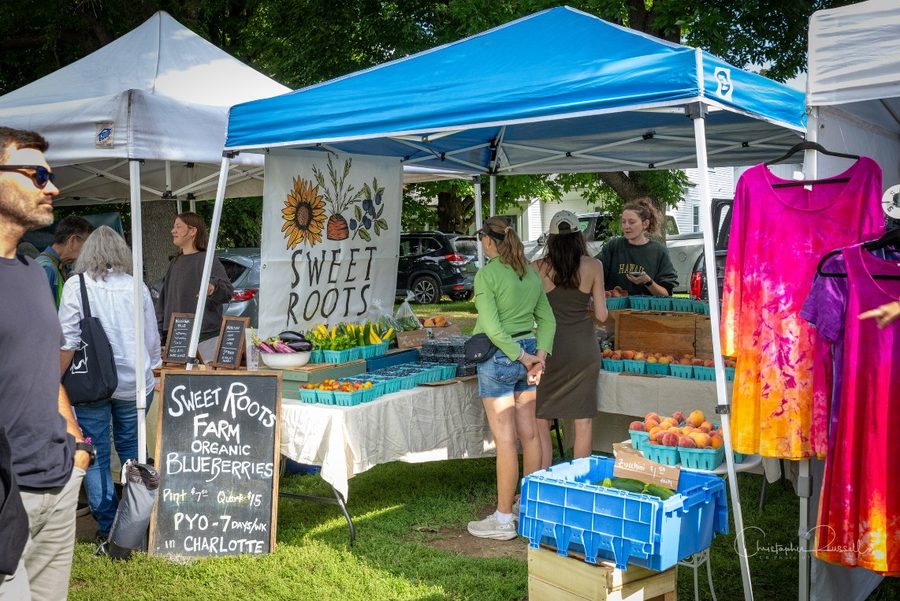 Shoppers at a berry and stone-fruit stand