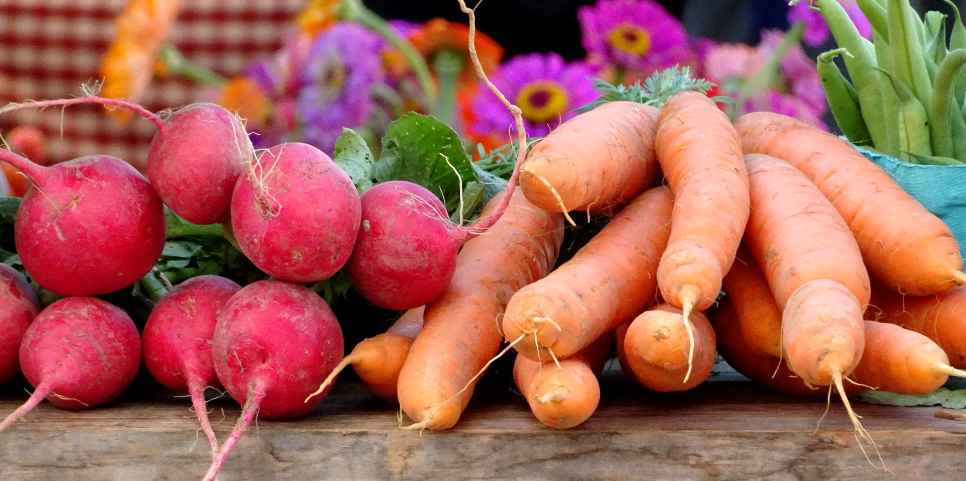 Fresh radishes, carrots, and flowers at the Shelburne Farmers Market